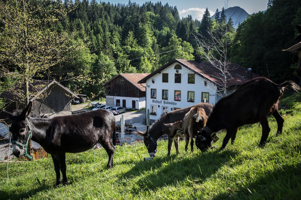 Gasthof Fallmuehle Pfronten Exterior photo